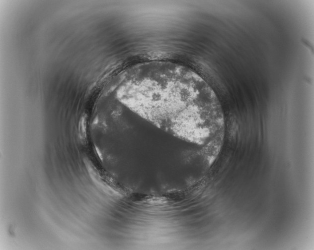 X0000099310214200805301201