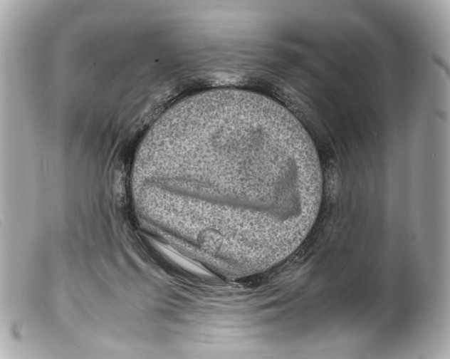 X0000099310215200805301201