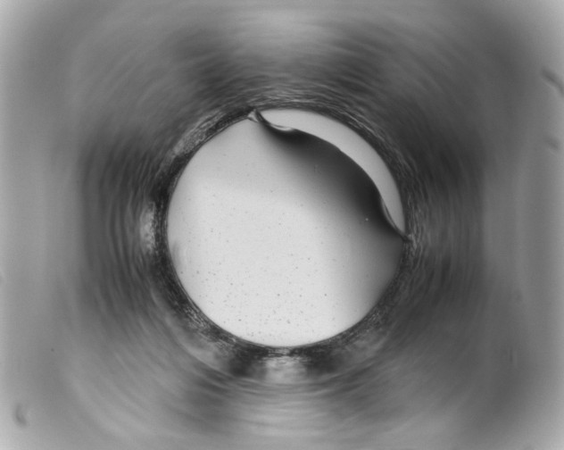 X0000099310216200805301201