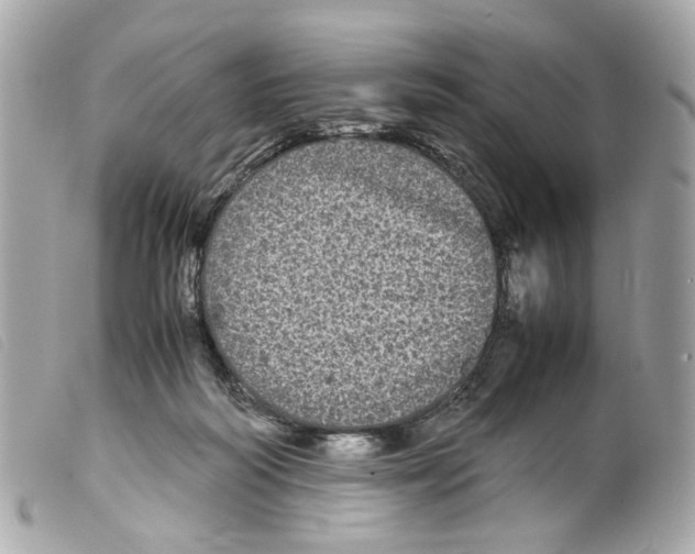 X0000099310218200805301201