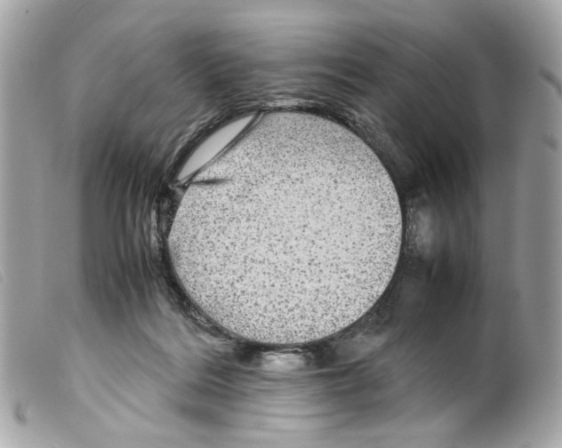 X0000099310220200805301201