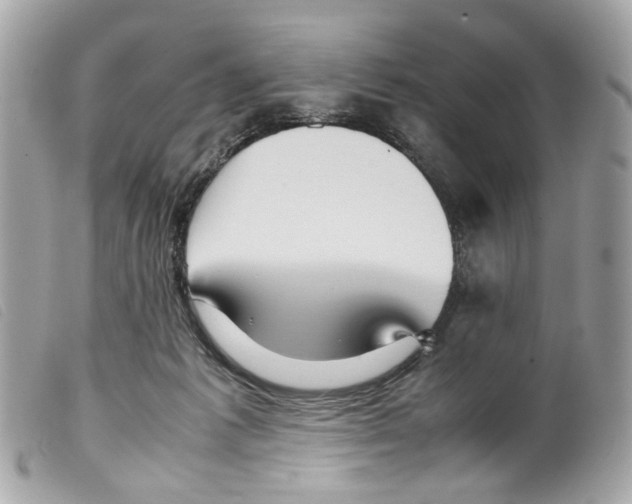 X0000099310221200805301201