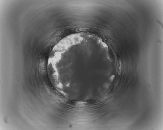 X0000099310222200805301201