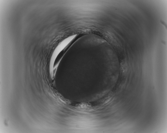 X0000099310223200805301201