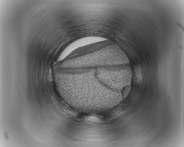 X0000099310224200805301201