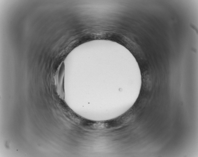 X0000099310225200805301201