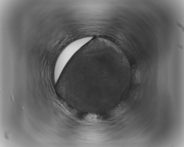 X0000099310227200805301201