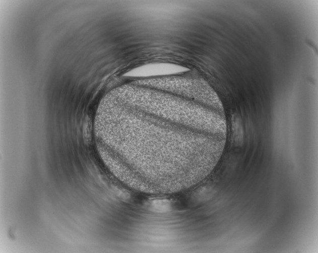 X0000099310228200805301201