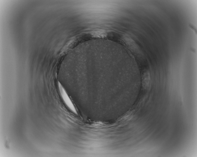X0000099310229200805301201