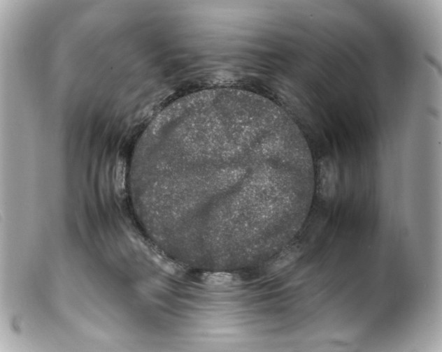 X0000099310230200805301201