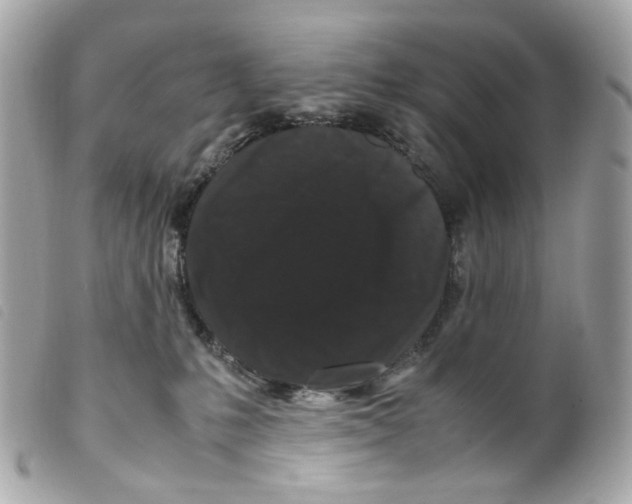 X0000099310231200805301201