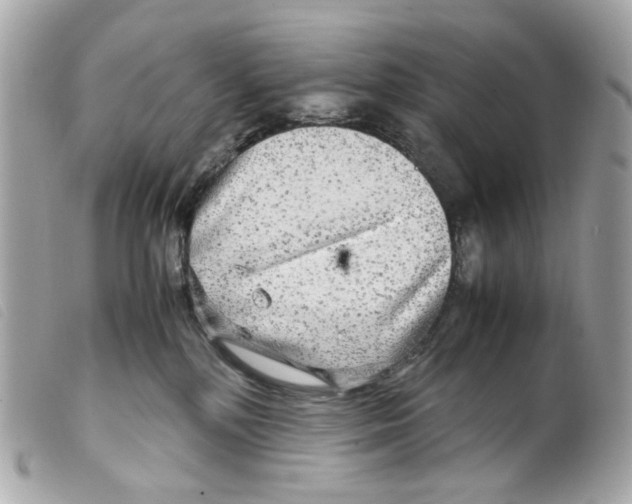 X0000099310232200805301201