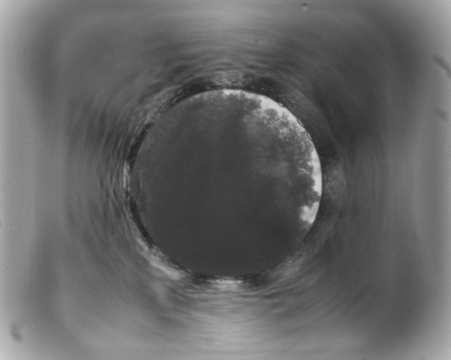 X0000099310233200805301201