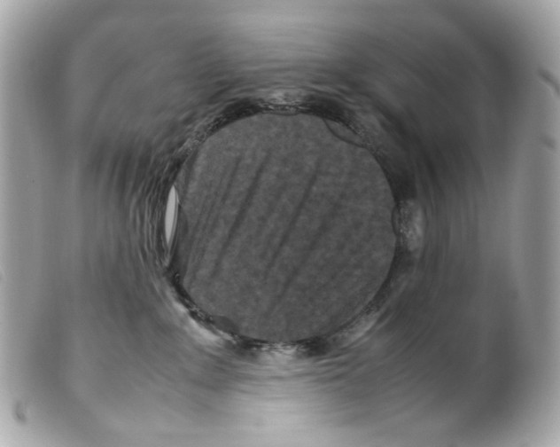 X0000099310235200805301201