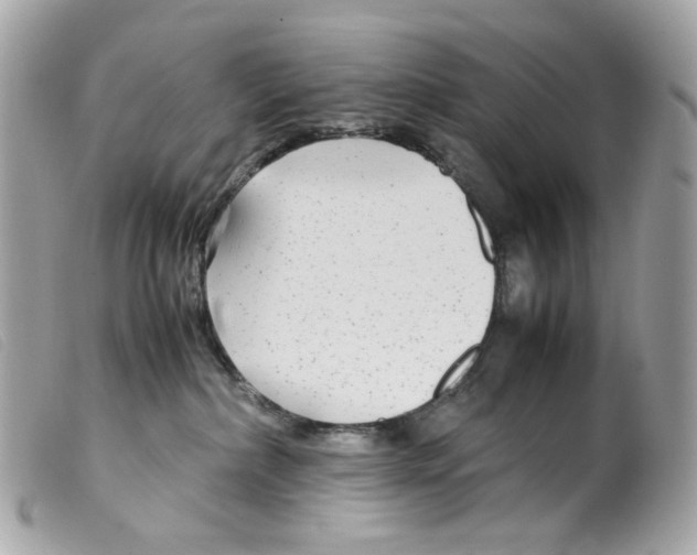 X0000099310236200805301201