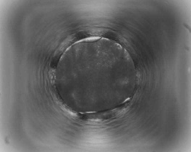 X0000099310237200805301201