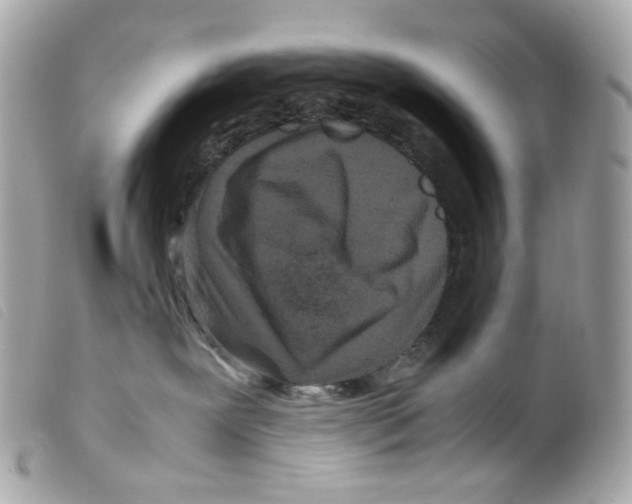 X0000099310239200805301201