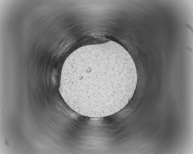 X0000099310240200805301201