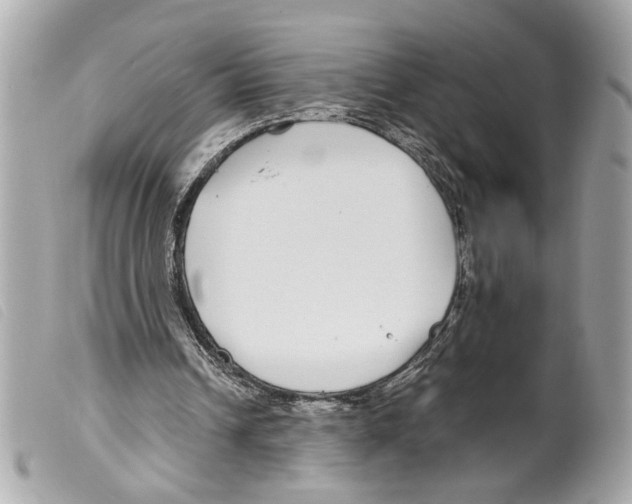 X0000099310242200805301200