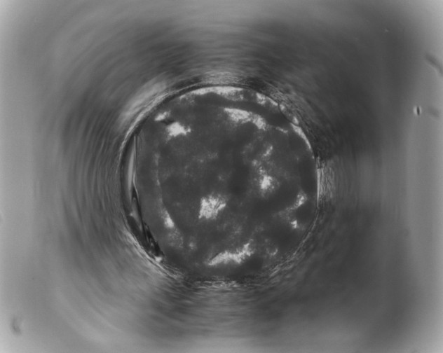 X0000099310243200805301200