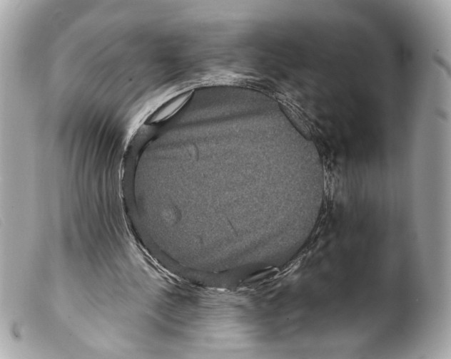 X0000099310244200805301200
