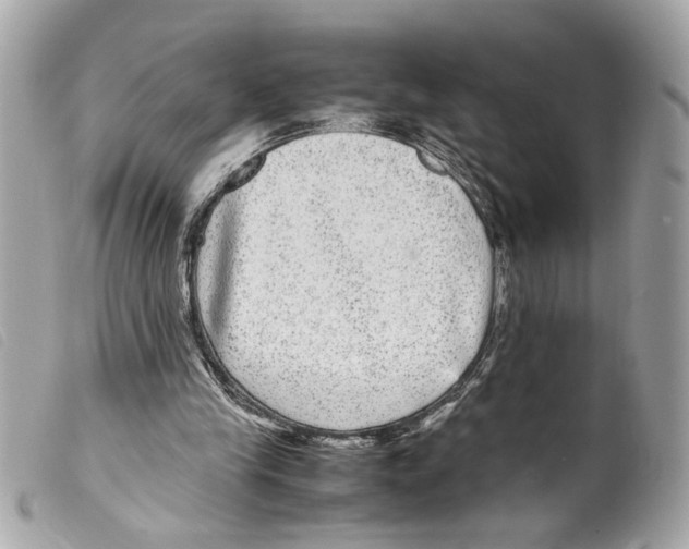 X0000099310245200805301200