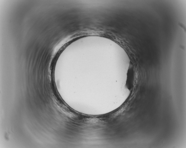 X0000099310246200805301200