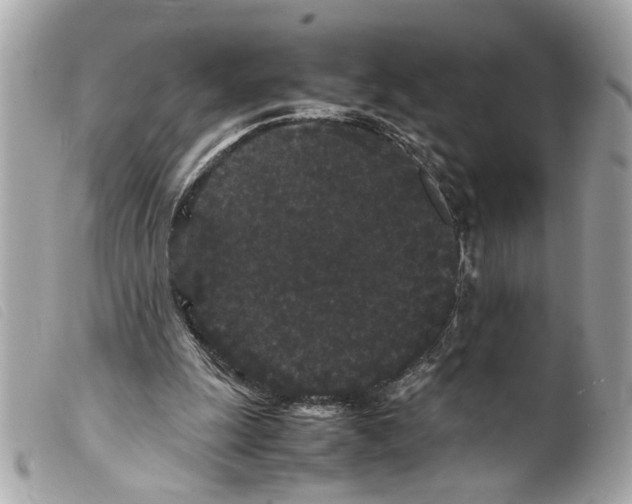 X0000099310247200805301200
