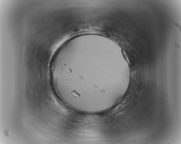 X0000099310248200805301200
