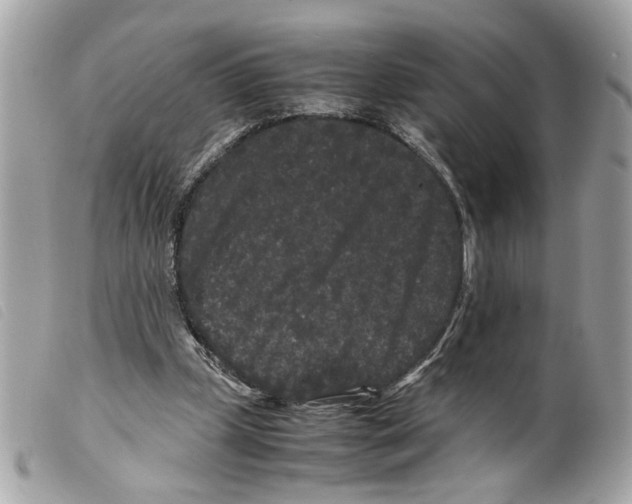 X0000099310249200805301200