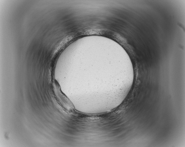X0000099310250200805301200