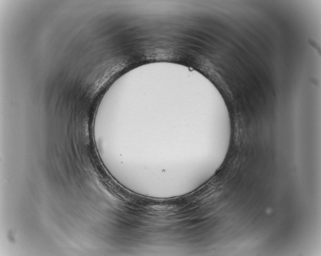 X0000099310251200805301200
