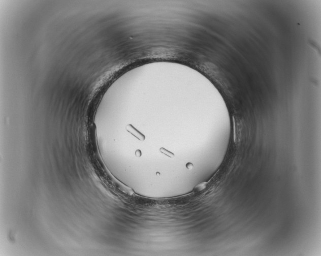 X0000099310252200805301200