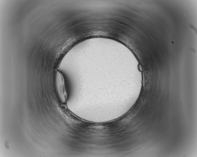 X0000099310253200805301200
