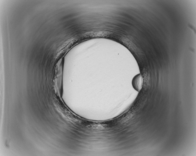 X0000099310254200805301200