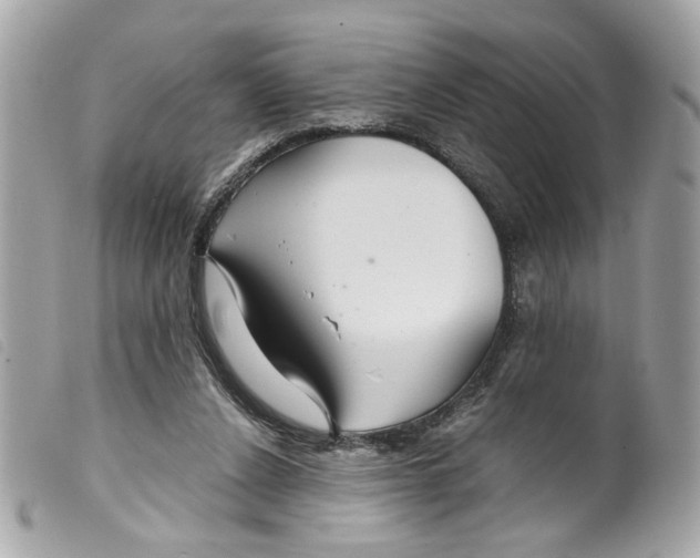 X0000099310256200805301200