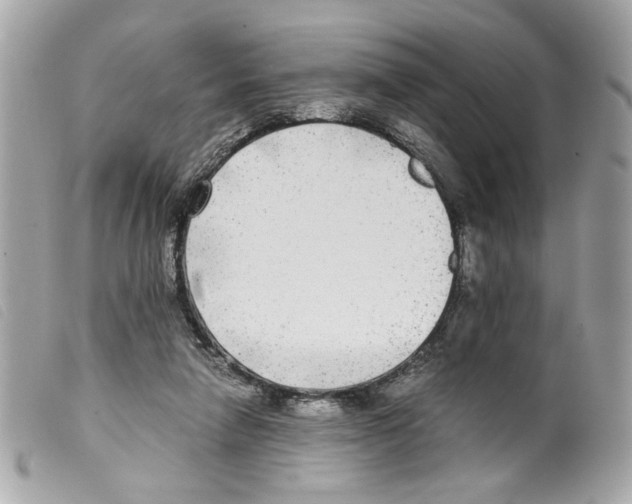 X0000099310258200805301200