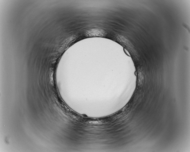 X0000099310259200805301200