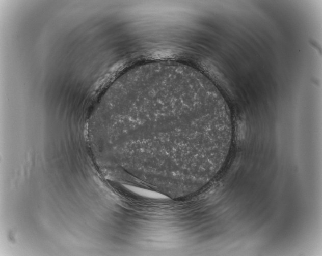 X0000099310260200805301200