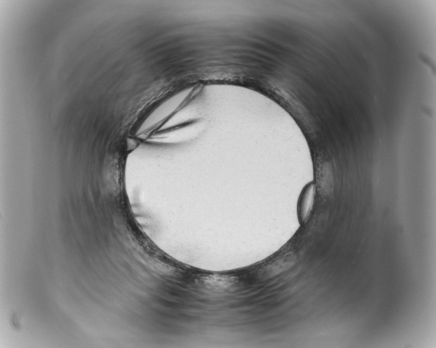 X0000099310261200805301200