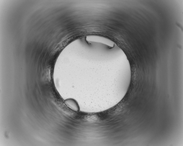 X0000099310262200805301200