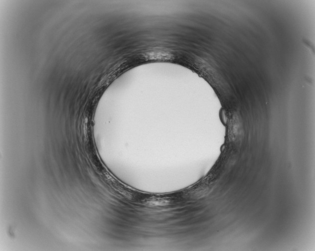X0000099310263200805301200