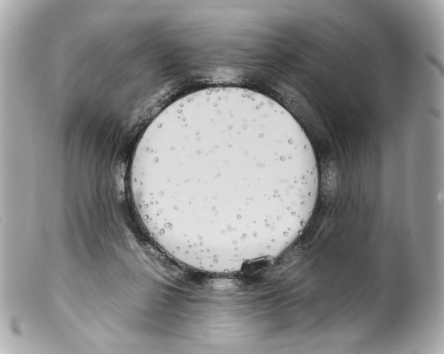 X0000099310264200805301200