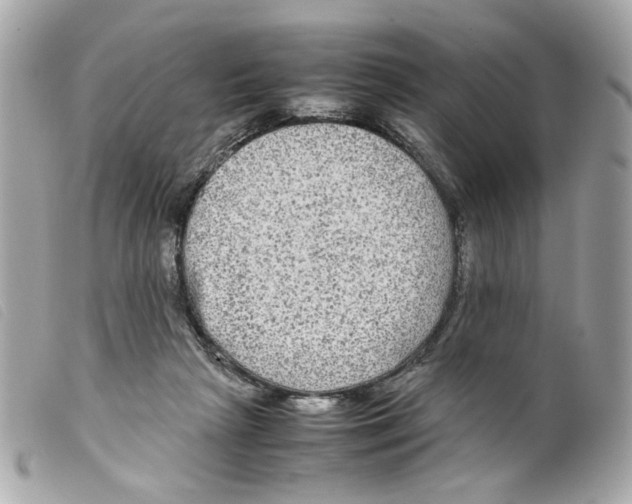 X0000099310265200805301200