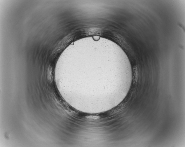 X0000099310266200805301200