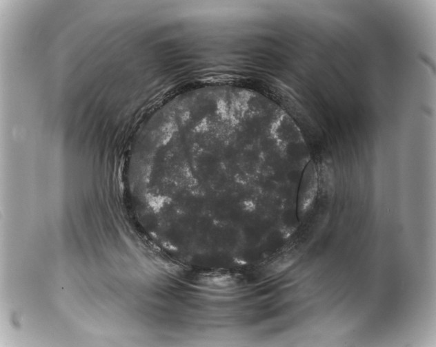 X0000099310267200805301200