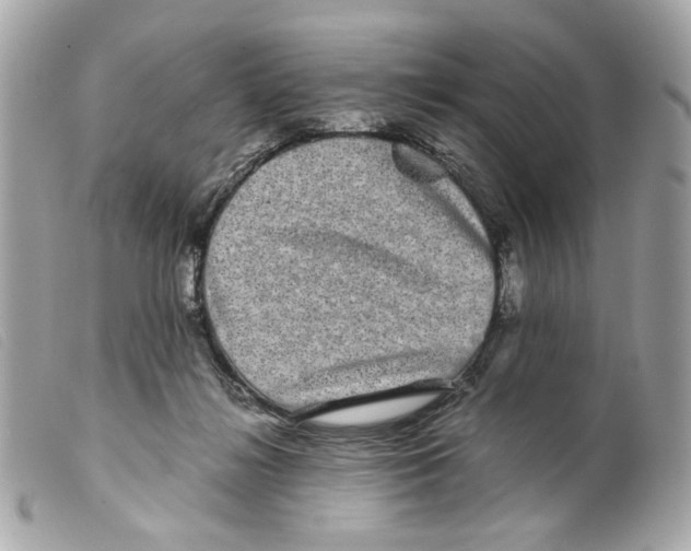 X0000099310268200805301200