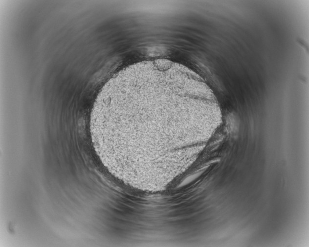 X0000099310269200805301200