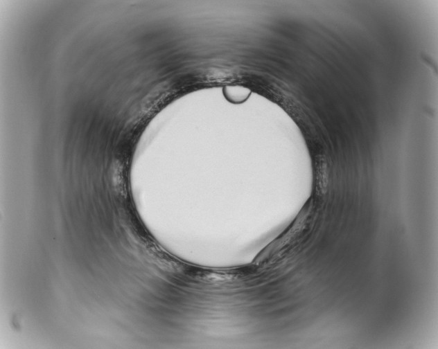 X0000099310270200805301200