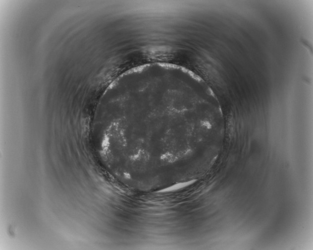 X0000099310271200805301200